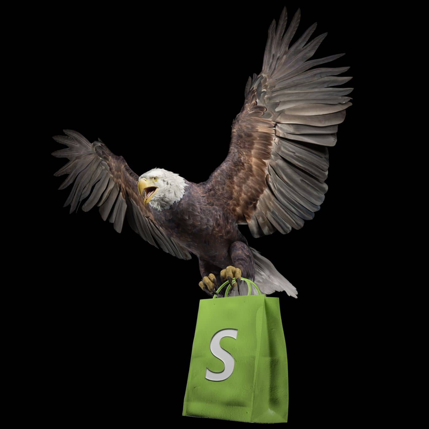 bester dropshipping coach mik dietrichs adler fängt shopify bag shopify tasche.jpg