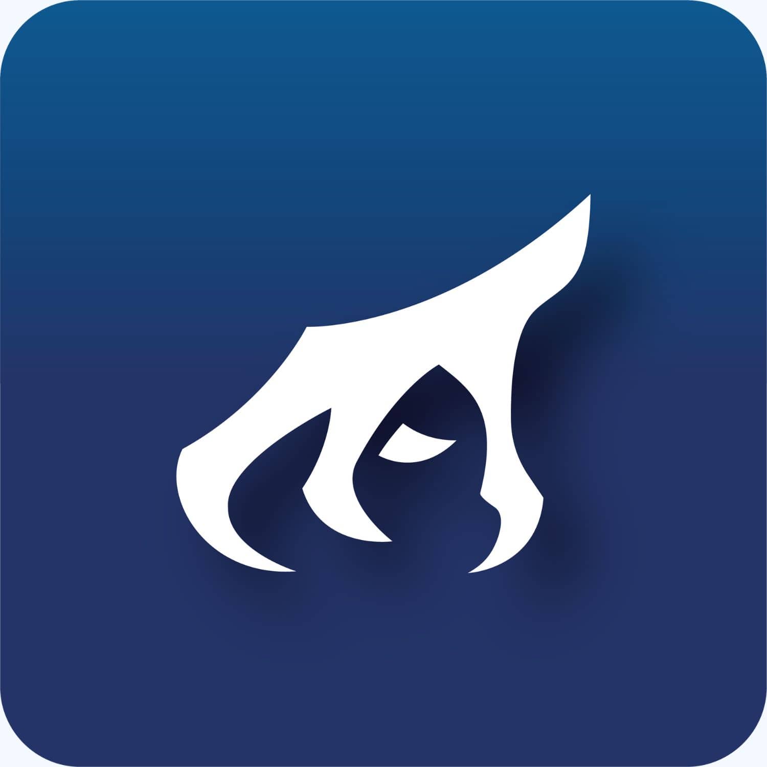 bester dropshipping coach mik dietrichs  adler kralle .jpg