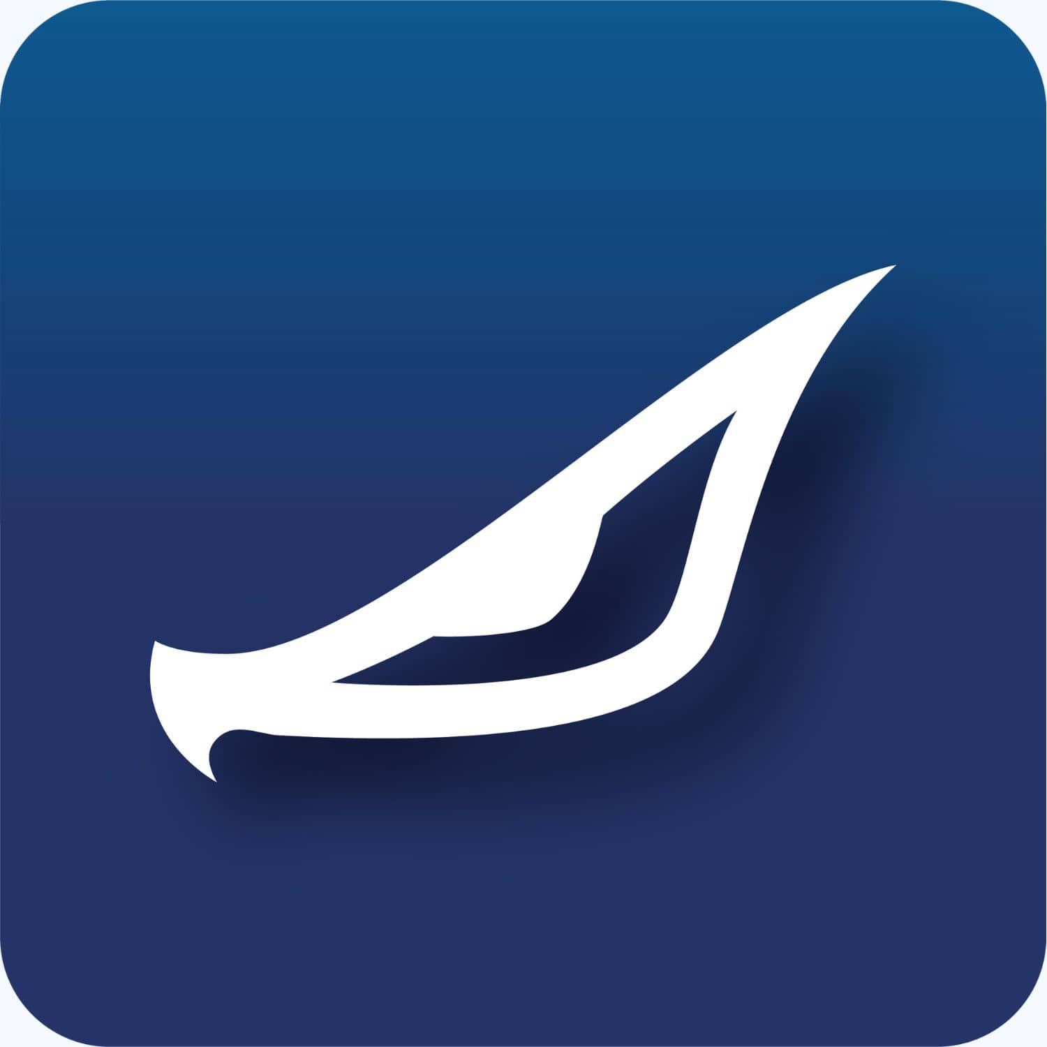 bester dropshipping coach mik dietrichs adler auge .jpg